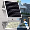 warm white solar flood light